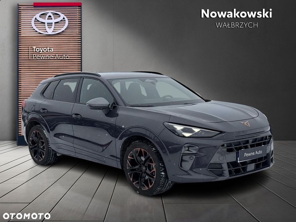 Cupra Terramar - 4