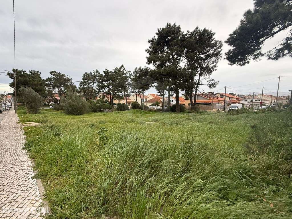 Terreno Urbano para Investimento - Excelente Oportunidade na Quinta... - Grande imagem: 3/6
