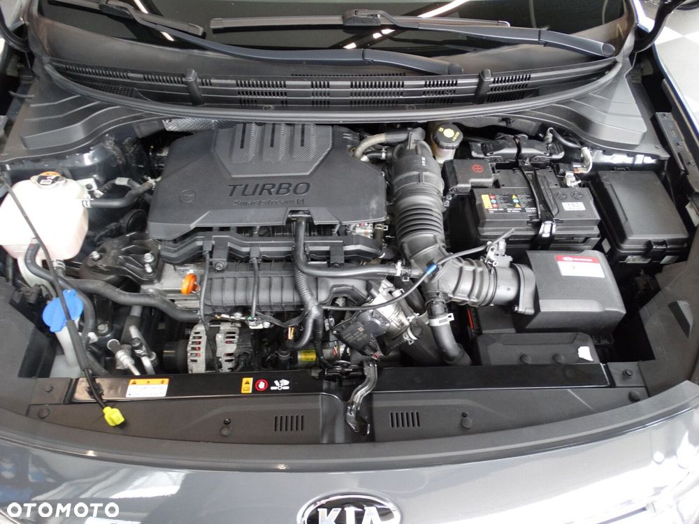 Kia Rio - 25