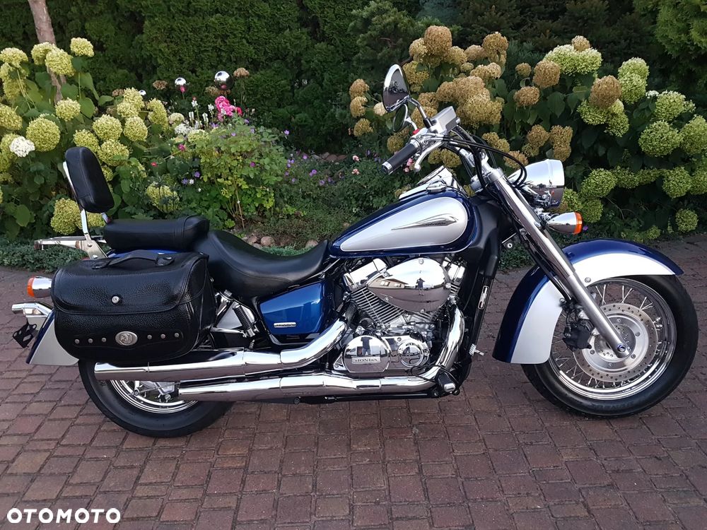 Honda Shadow - 4