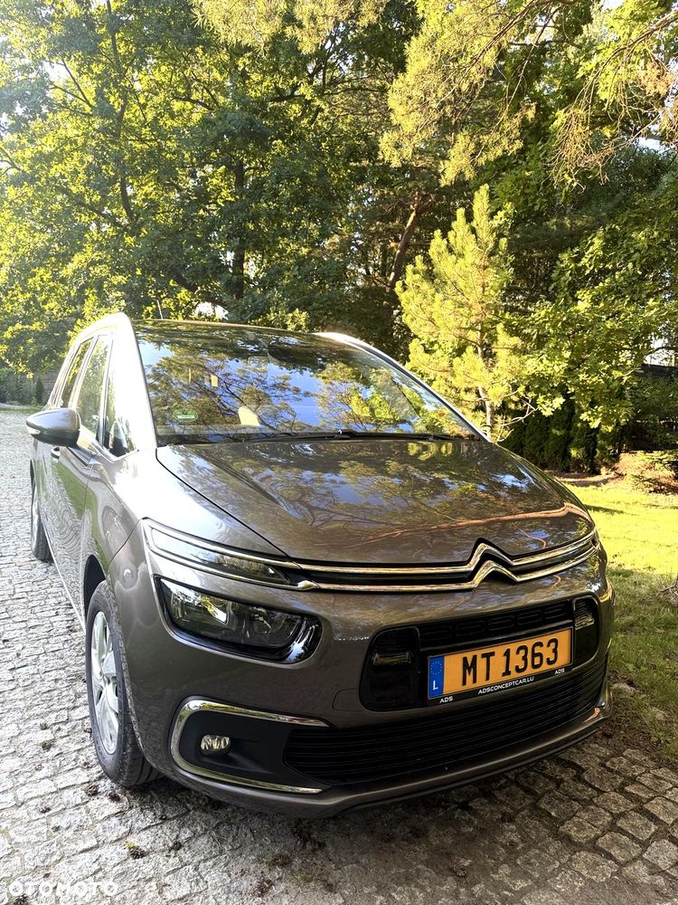Citroën C4 Grand Picasso BlueHDi 120 Business Class - 9
