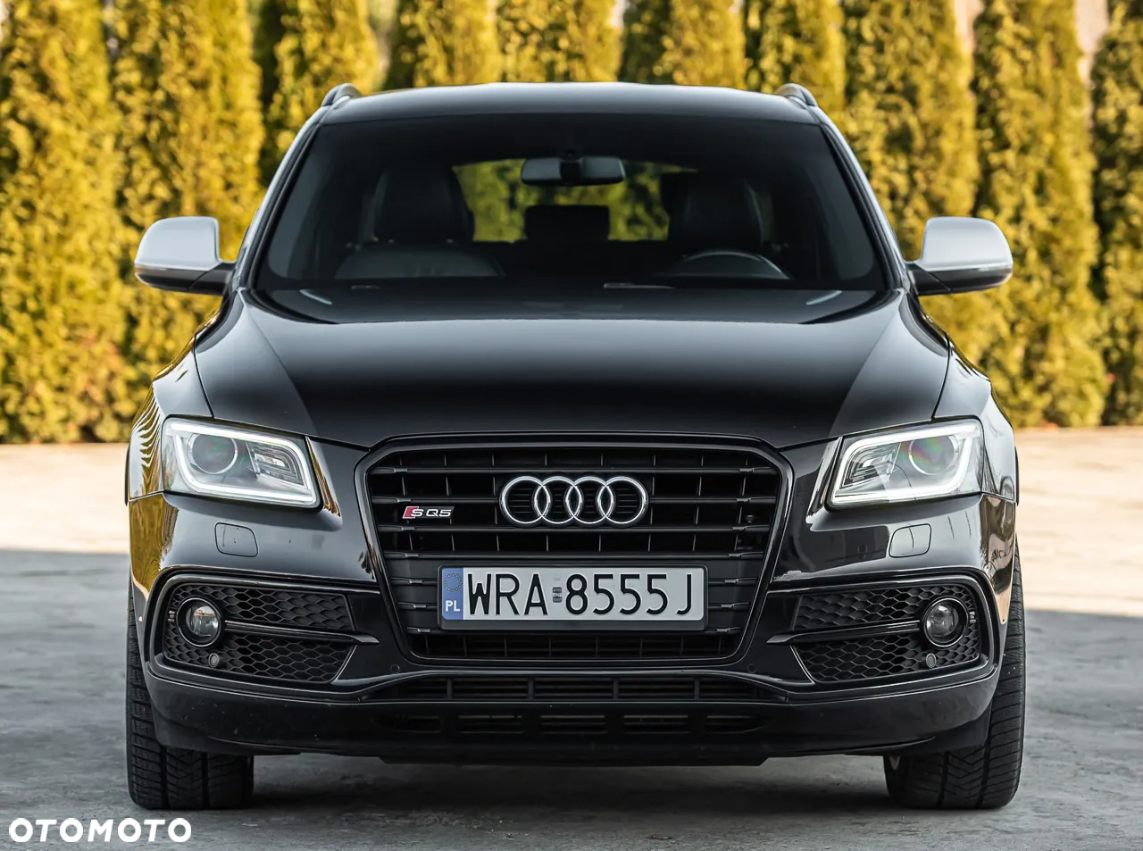 Audi SQ5 3.0 TDI Quattro Tiptronic EU6 - 4