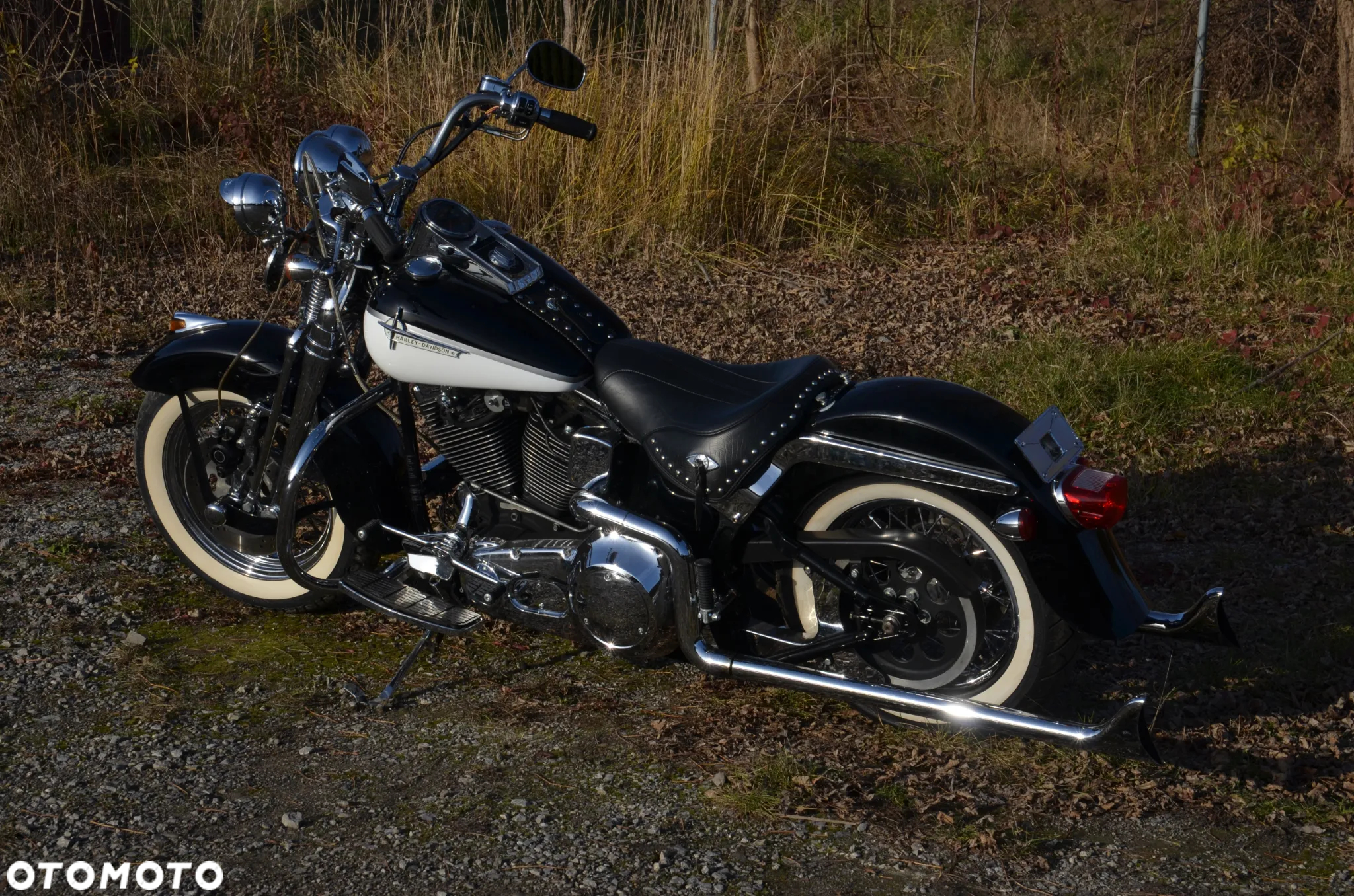 Harley-Davidson Softail Springer Classic - 40