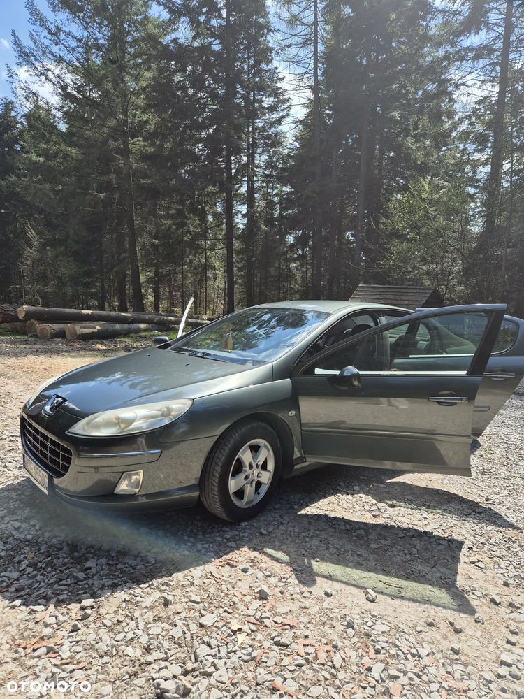 Peugeot 407 HDi 110 Esplanade - 5