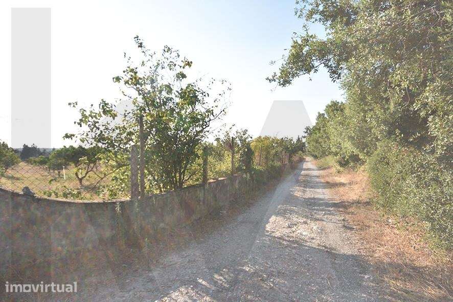 Quinta das Ladeiras – Oportunidade de investimento em Azeitão - Grande imagem: 4/22