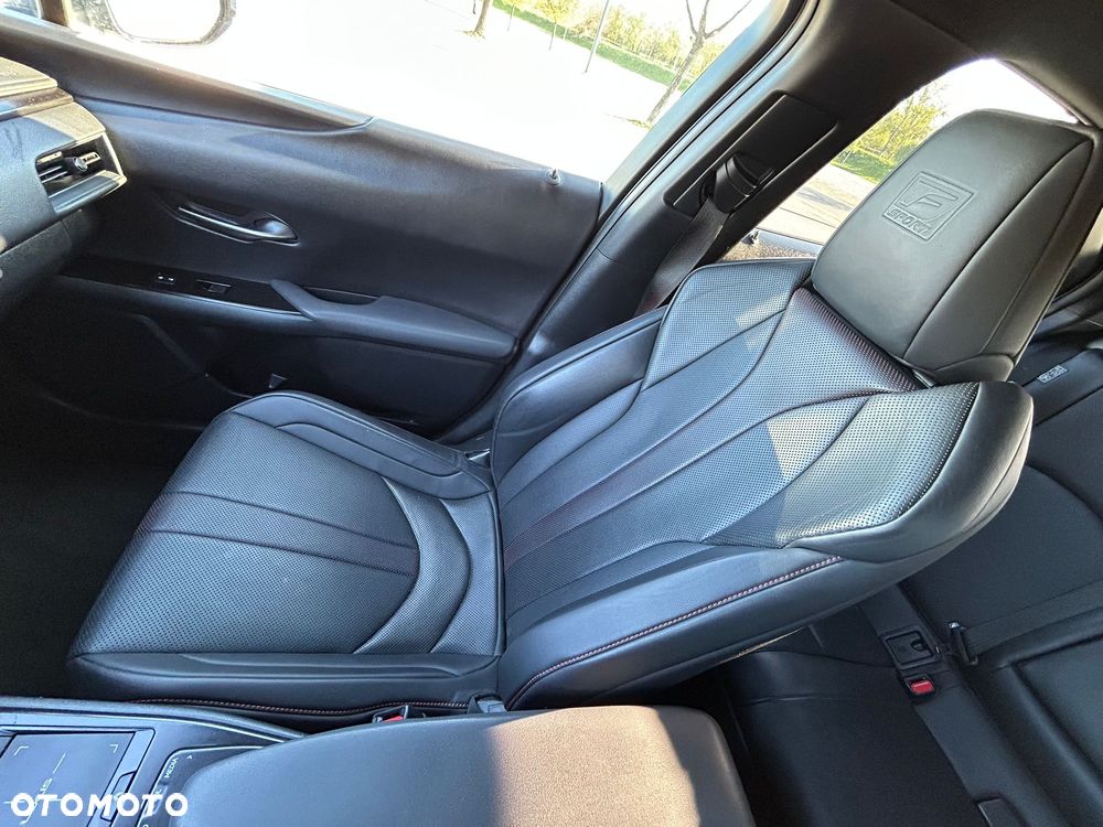 Lexus UX 250h F SPORT - 17