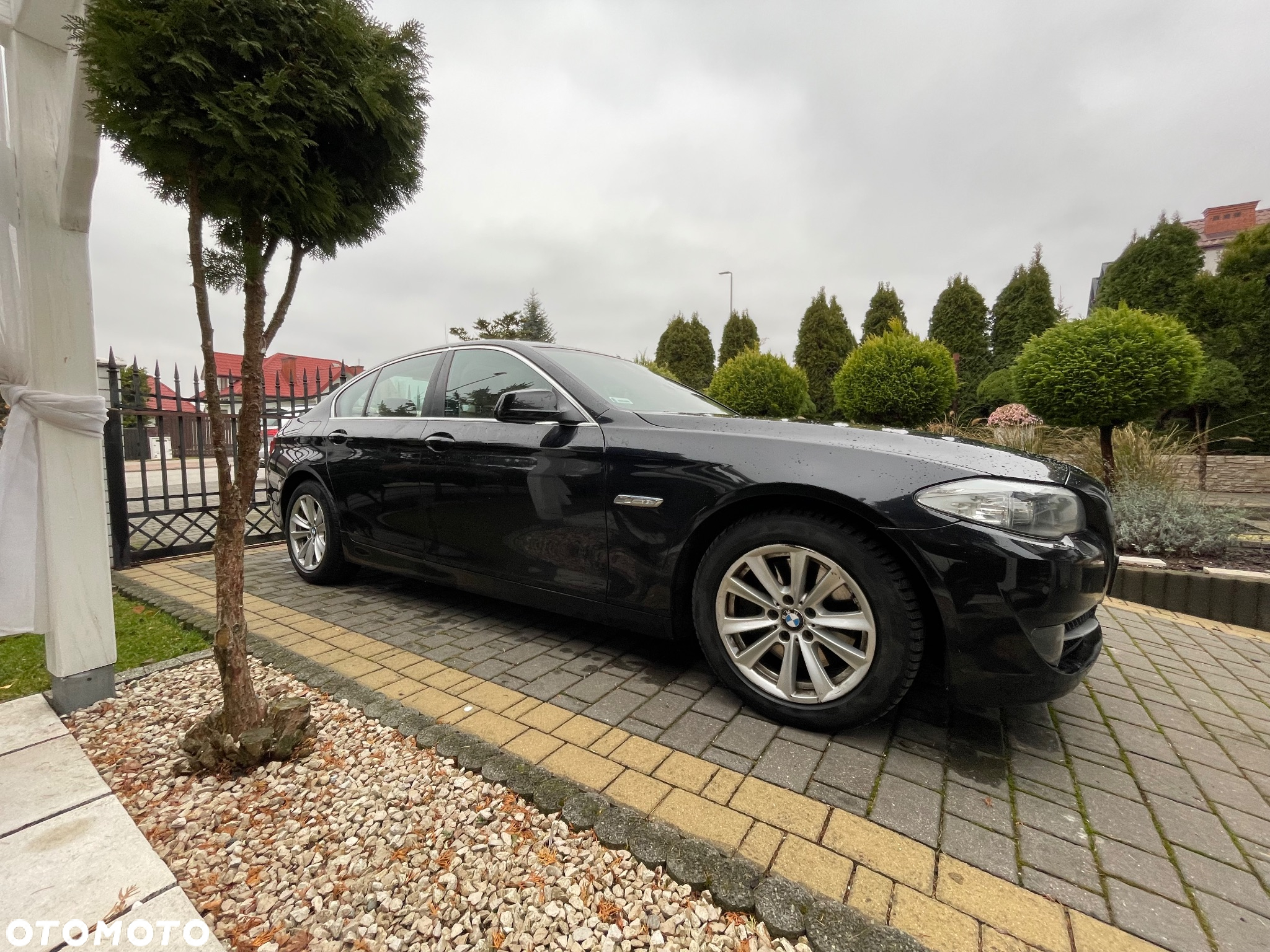 BMW Seria 5 - 3