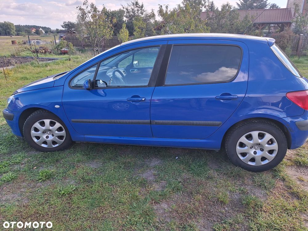 Peugeot 307 1.6 - 1
