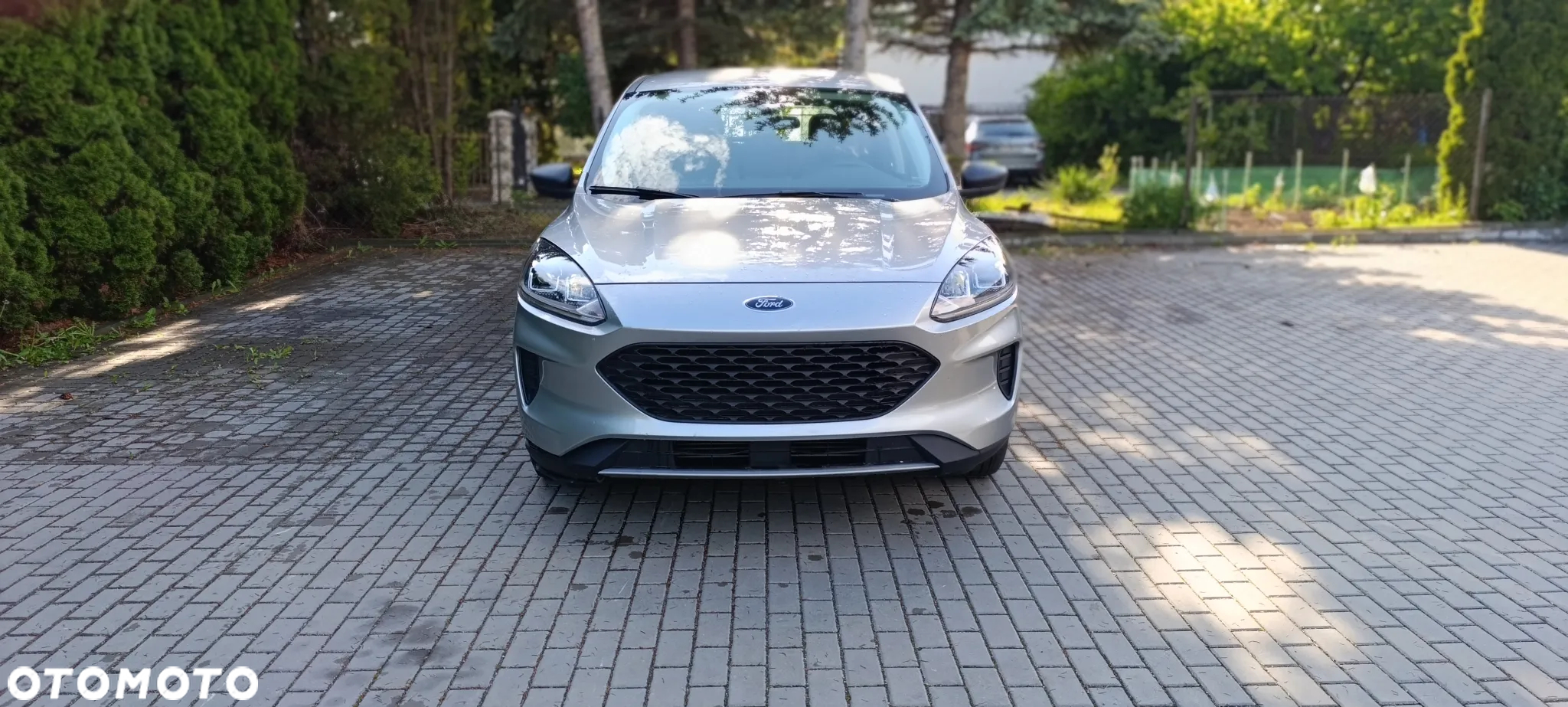 Ford Kuga 1.5 EcoBoost AWD Trend ASS - 18