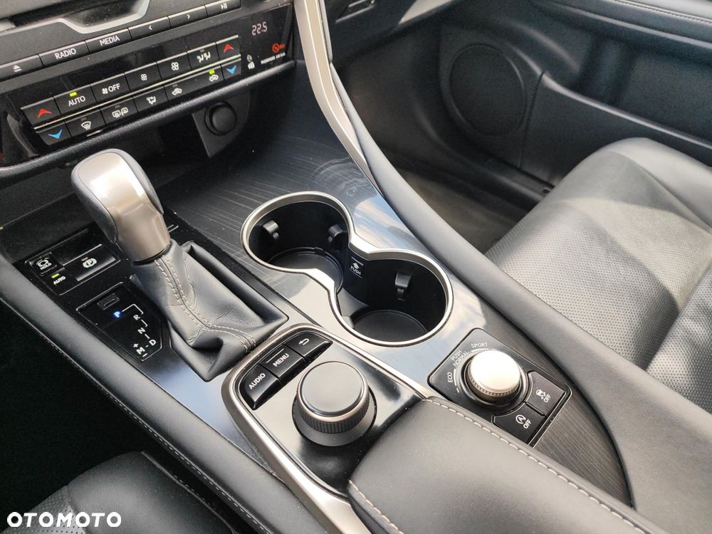 Lexus RX - 15