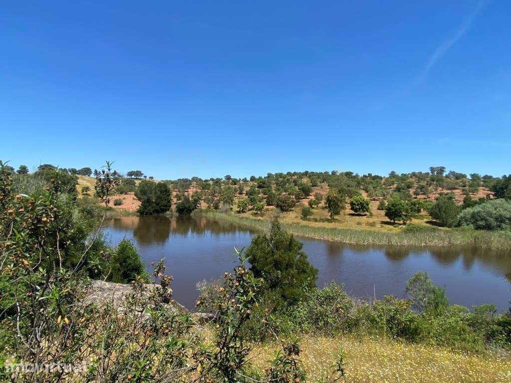 Herdade com moradia para recuperar [ barragem e ribeiro ] - Grande imagem: 4/60