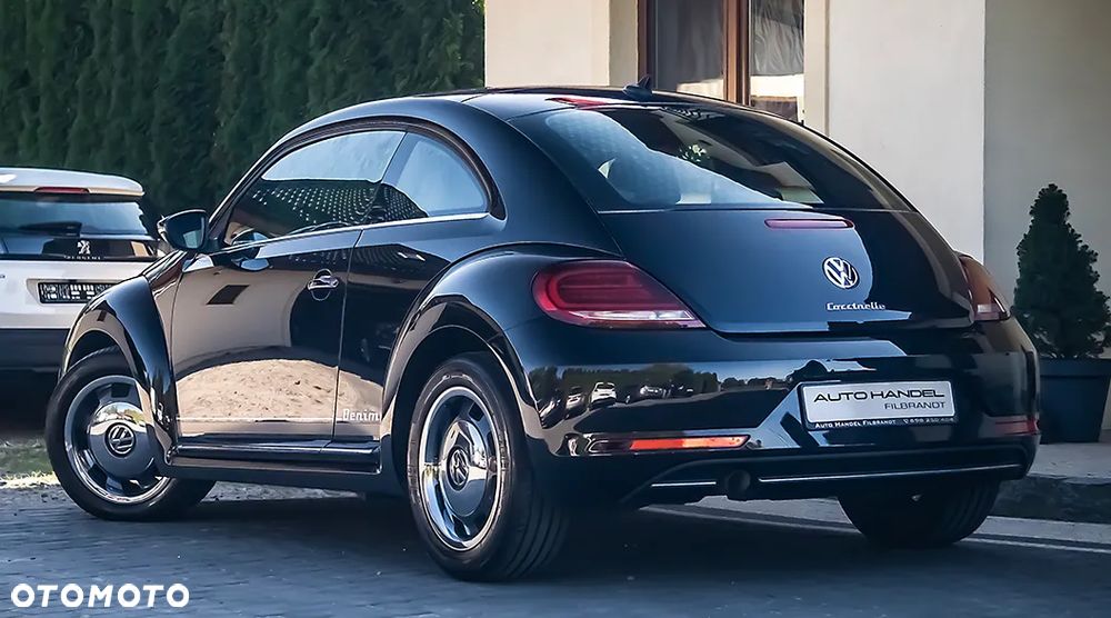 Volkswagen Beetle - 21
