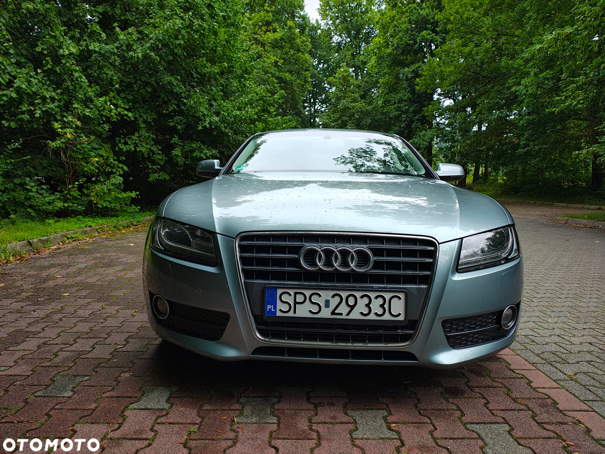 Audi A5 - 14