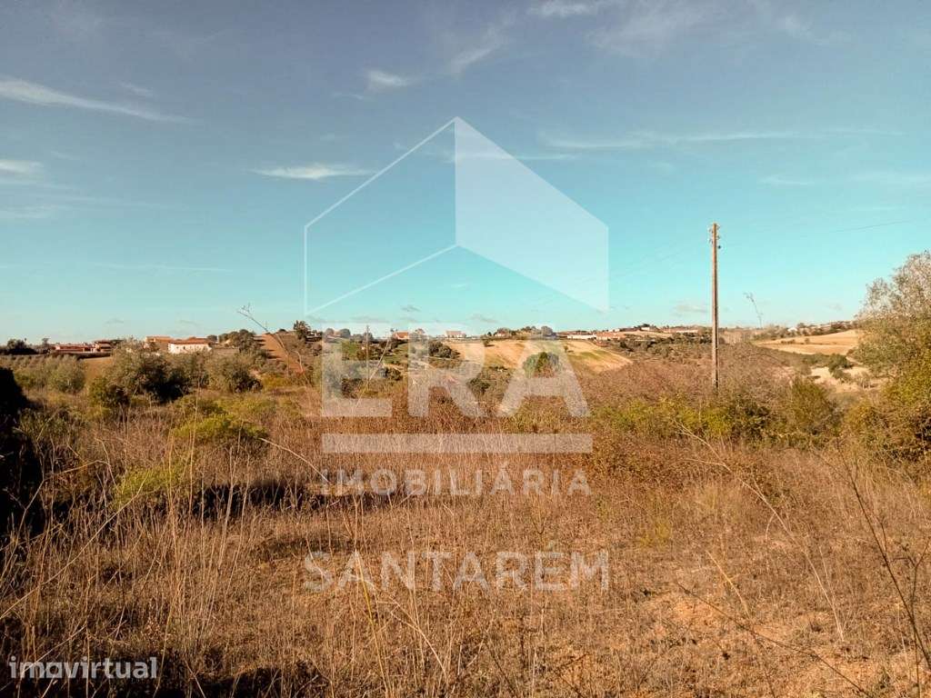 Terreno, Santarém - Grande imagem: 5/8