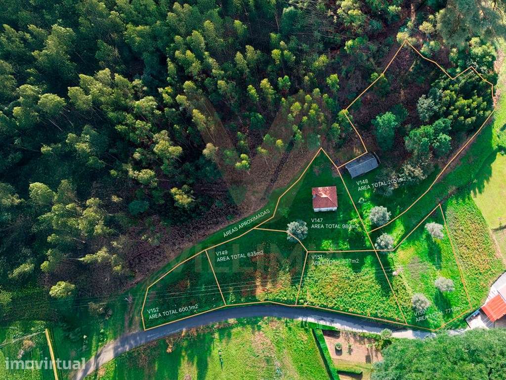 Terreno com Anexo - Moreira do Lima - Ponte de Lima - Grande imagem: 2/12