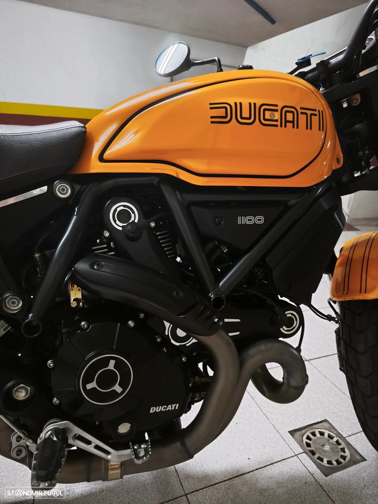 Ducati Scrambler 1100 tribute pro - 2