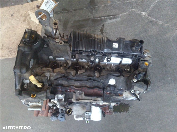 motor 2.0 d ford transit an fabr. 2024 - 1