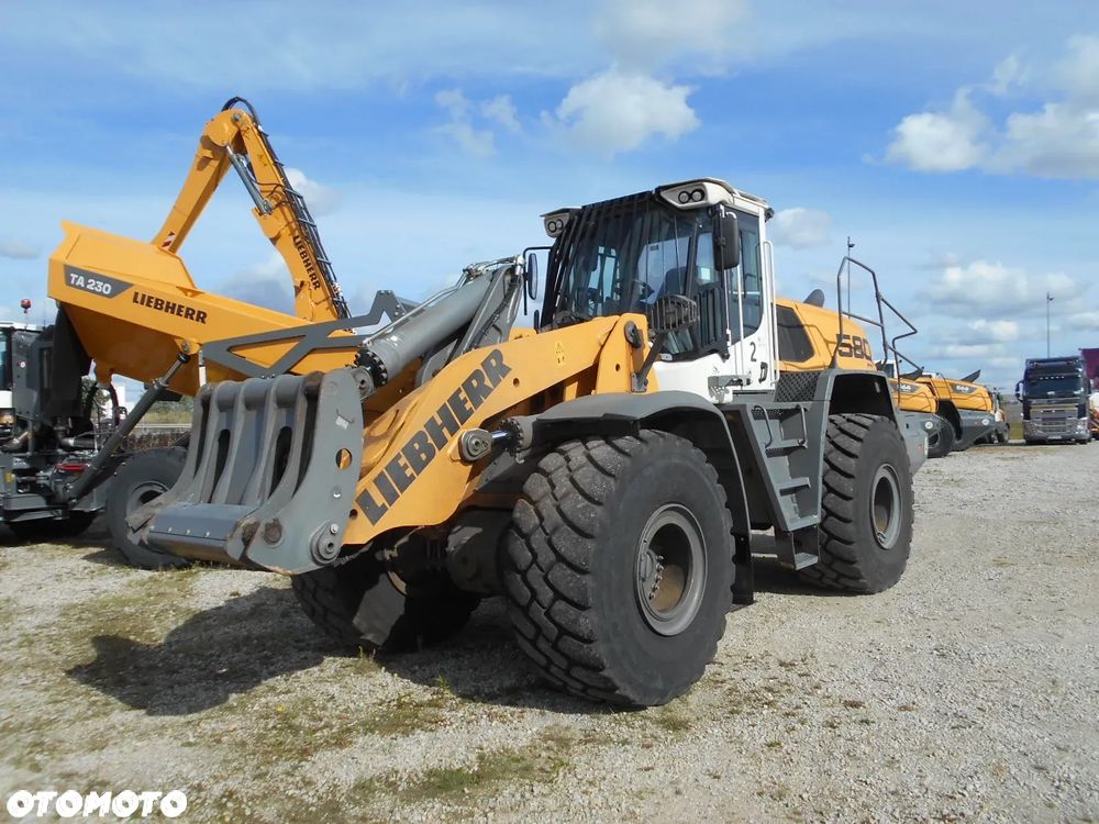 Liebherr L 580 IND Xpower - 1