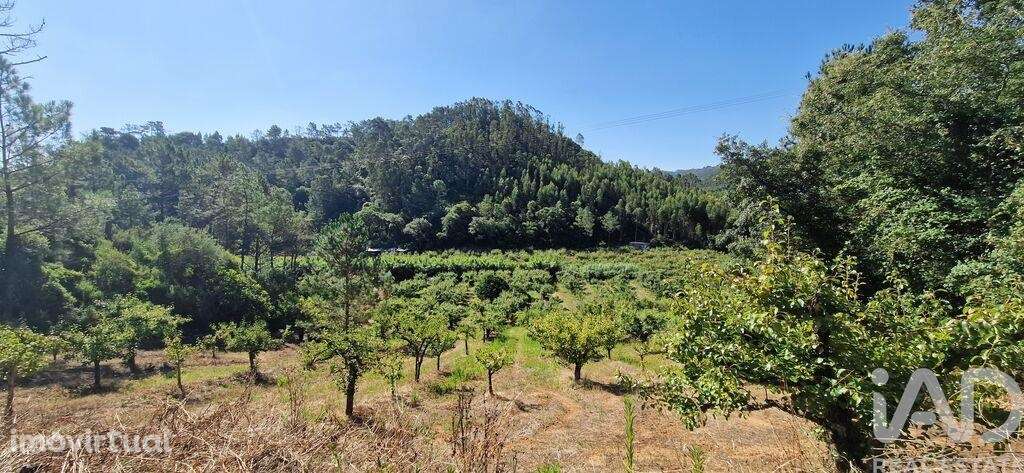 Terreno em Azueira e Sobral da Abelheira de 6250,00 m2 - Grande imagem: 4/28
