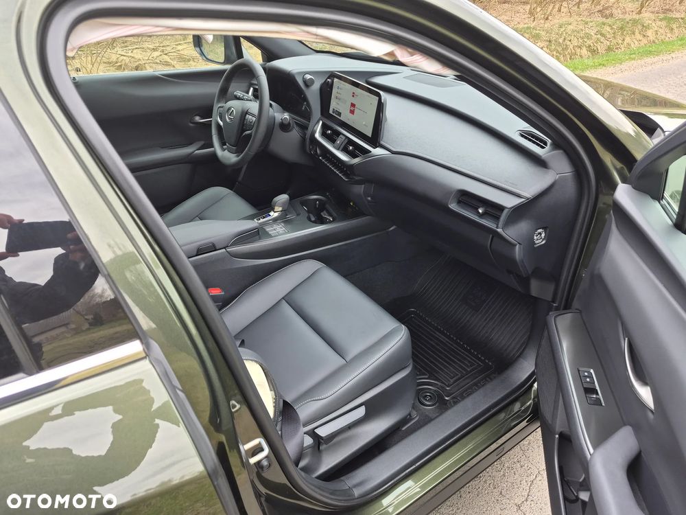 Lexus UX 300h F Sport Design AWD - 10