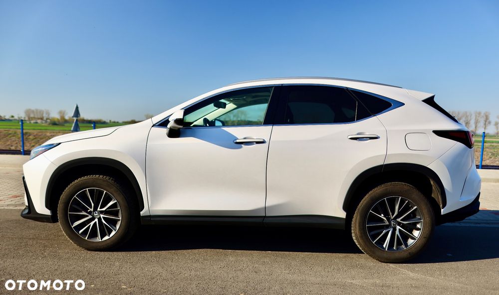Lexus NX - 19