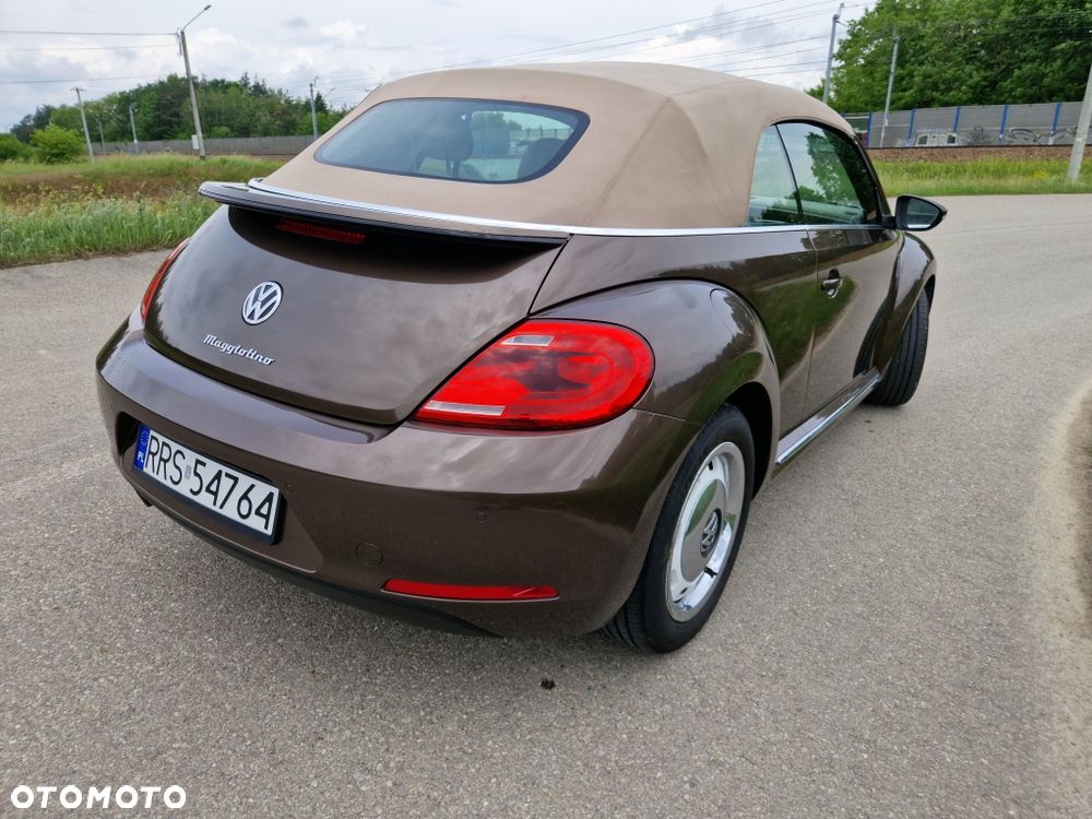 Volkswagen Beetle - 3