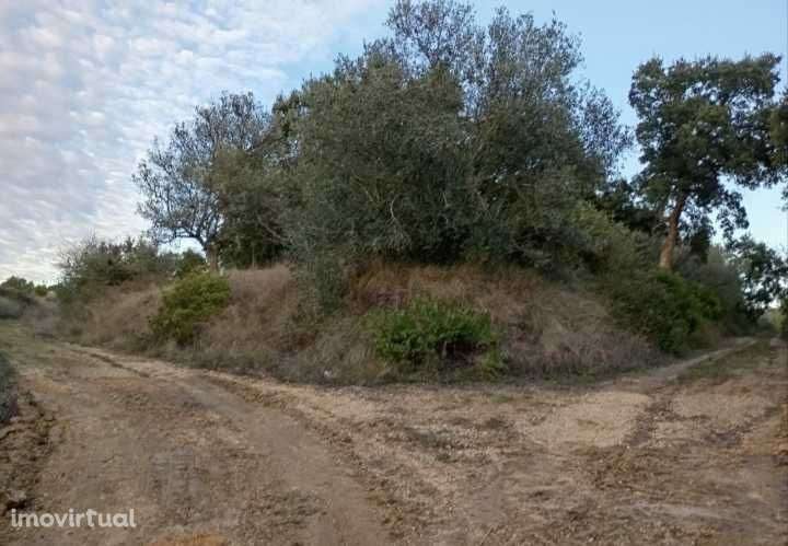 Terreno perto de A1 Norte Aveiras de Cima - Grande imagem: 4/4