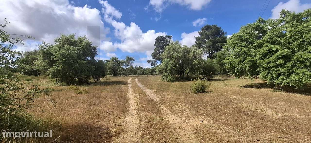 OPORTUNIDADE ÚNICA DE RETIRO NATURAL NA CARRASQUEIRA, QUINTA DO ANJO - Grande imagem: 2/5