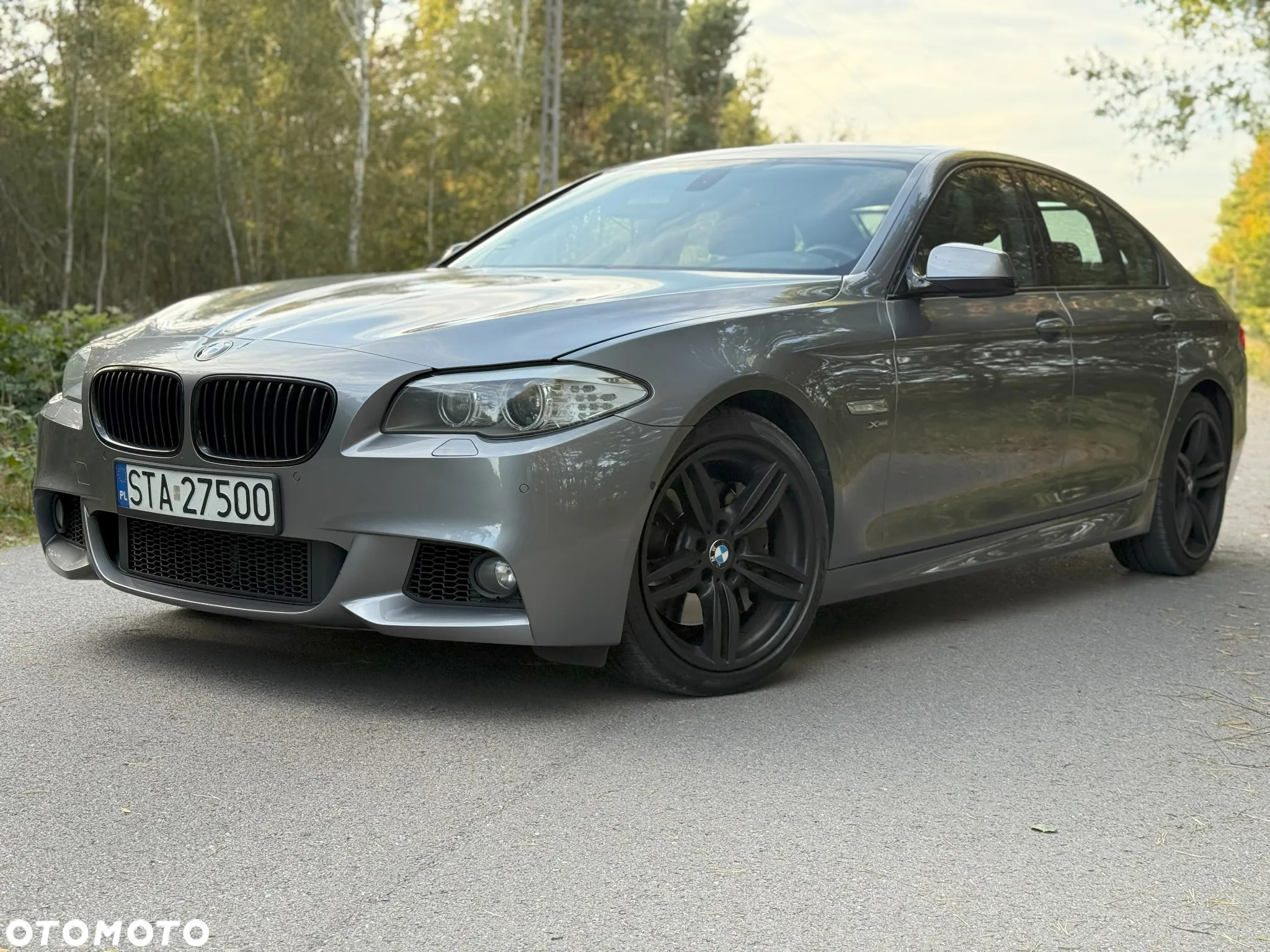 BMW Seria 5 550i - 29
