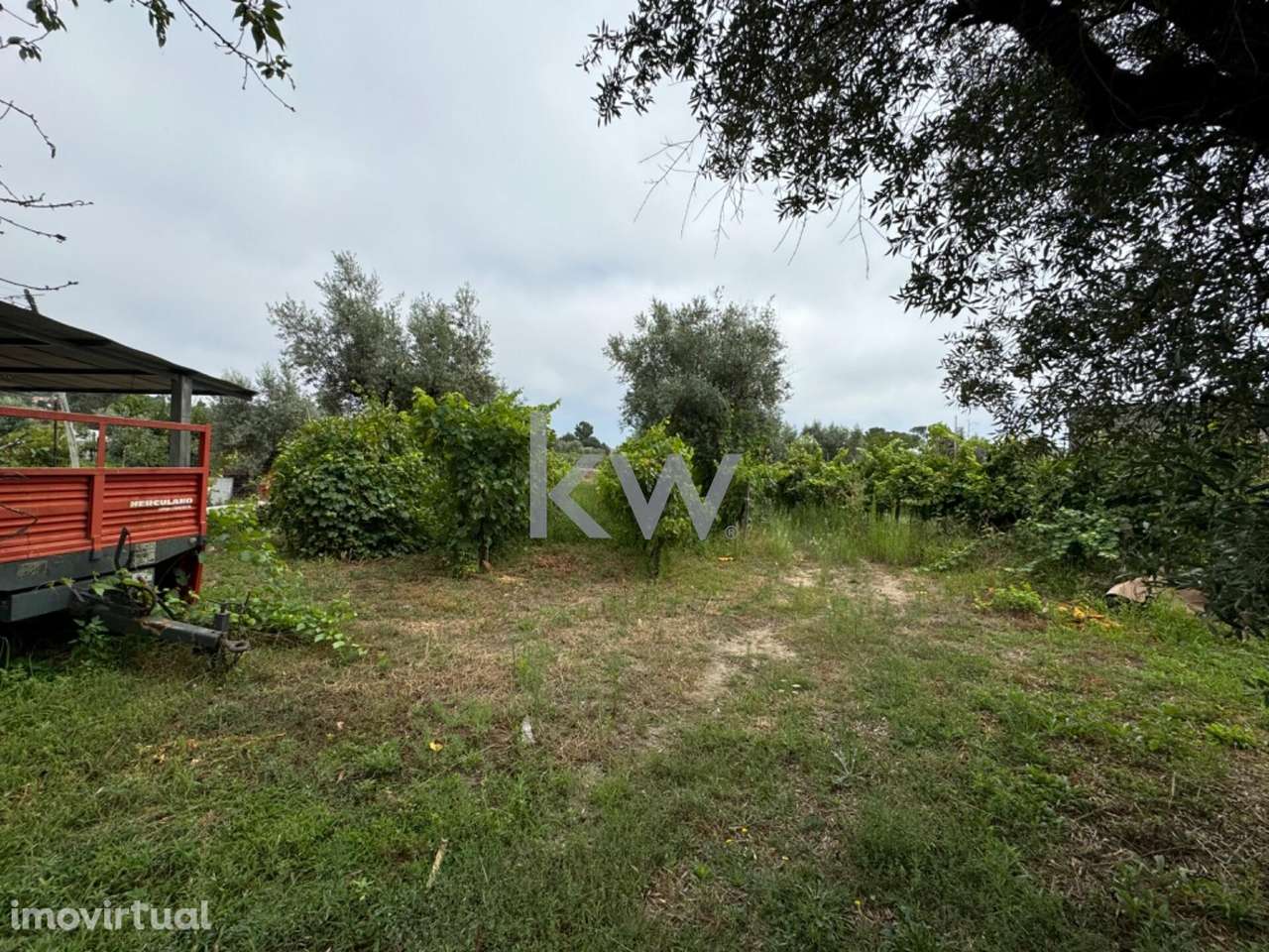 Terreno rústico para venda em Casal Jusão, Silgueiros  com 1055m2 - Grande imagem: 3/9