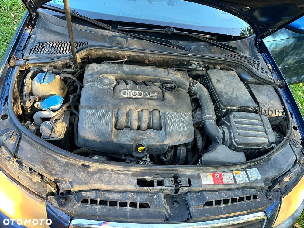 Audi A3 3-drzwiowe 1.6 Ambiente - 6
