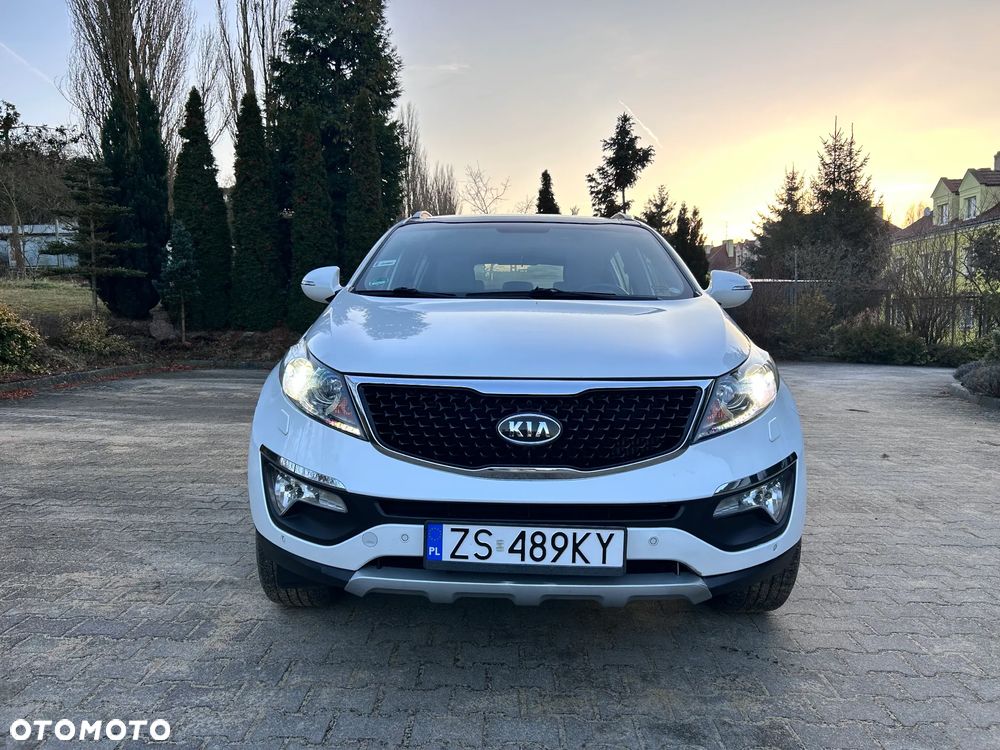 Kia Sportage - 1