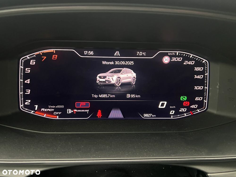 Cupra Formentor 2.0 TSI 4Drive DSG - 16