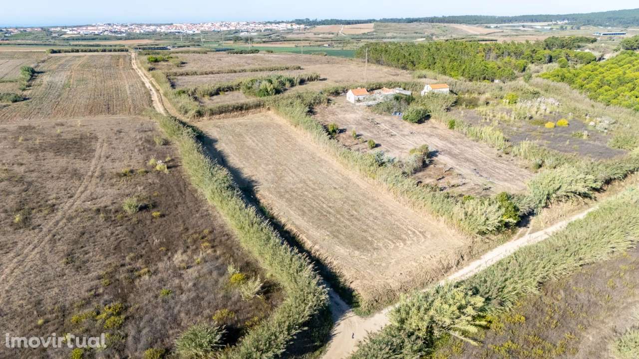 Terreno Rústico com 3.600 m² em Atouguia da Baleia - Grande imagem: 2/8