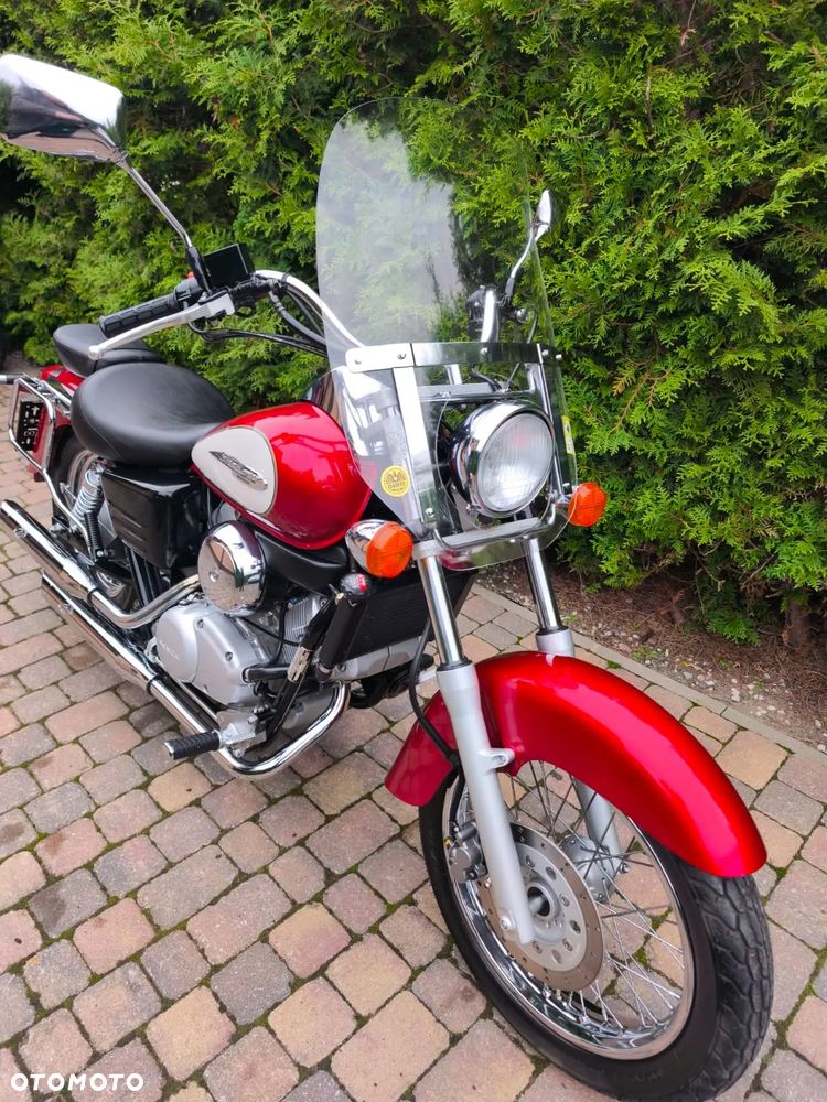 Honda Shadow - 12
