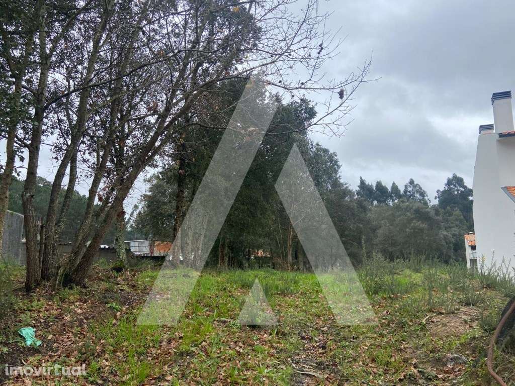 Terreno em Fermentelos - Grande imagem: 2/13