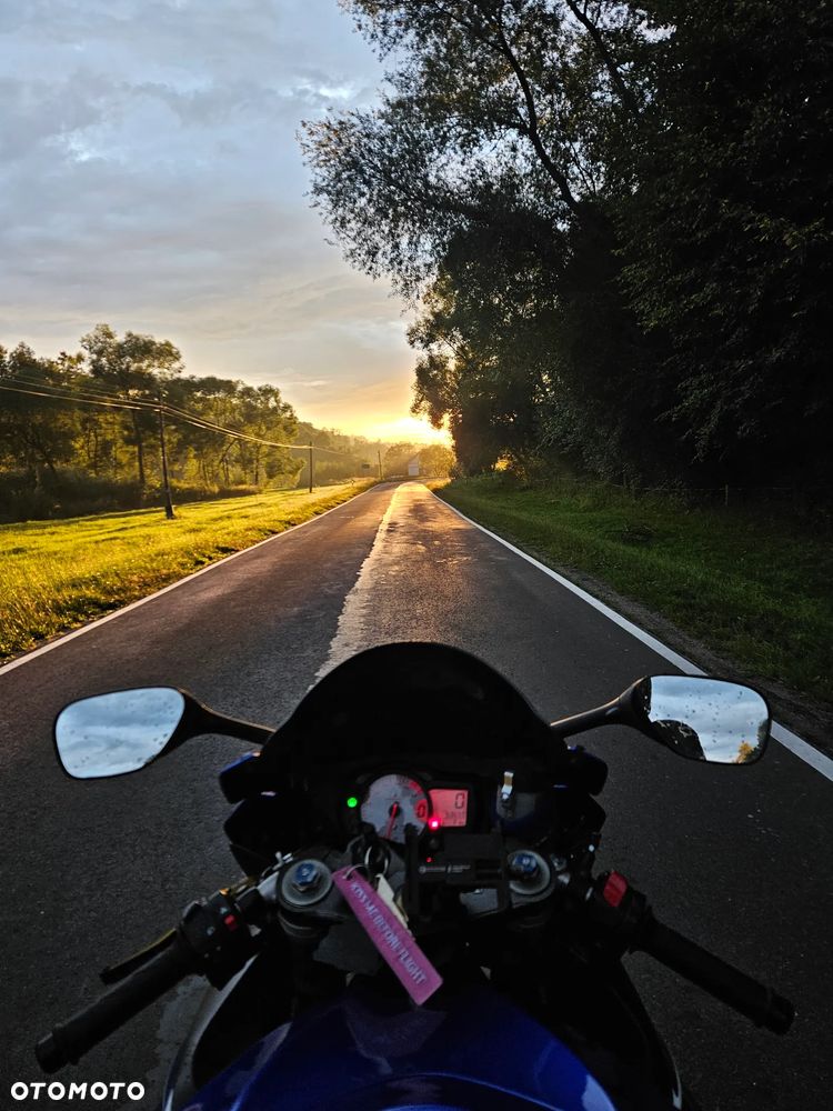Suzuki GSX-R - 11