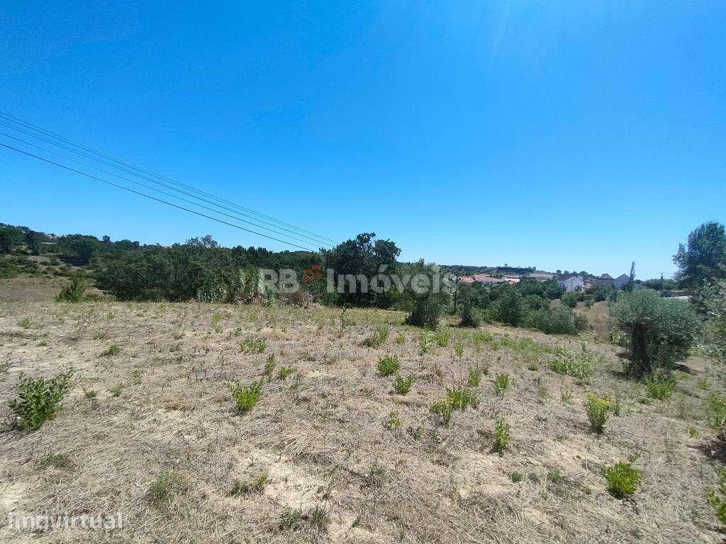 Terreno Rústico com 2.986,7m² - Carregueiros, Tomar - Grande imagem: 2/19