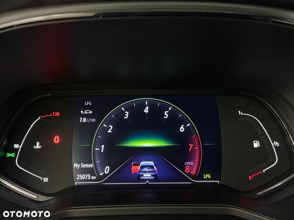Renault Clio - 14