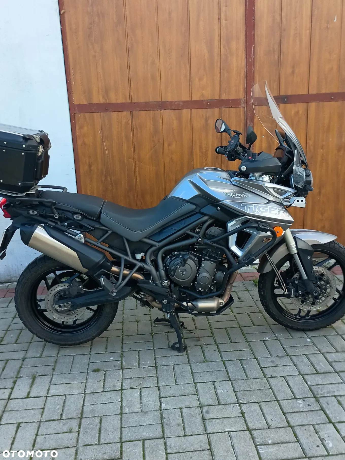 Triumph Tiger - 9