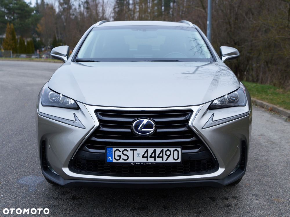 Lexus NX 300h Elite 2WD - 8