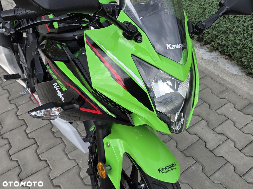 Kawasaki Ninja - 17