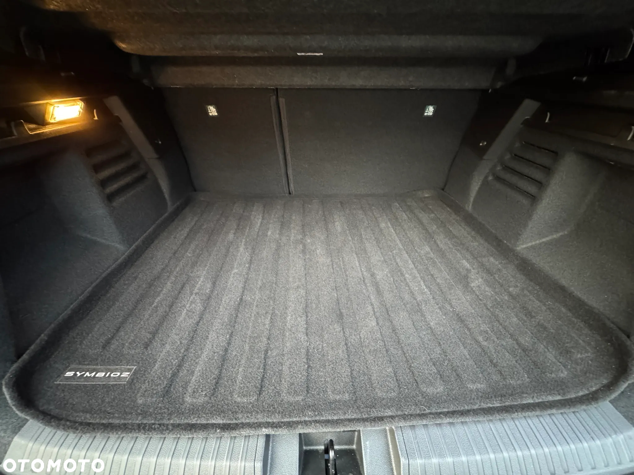 Renault Symbioz - 18