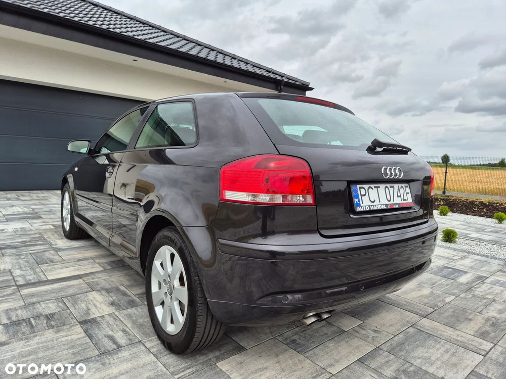 Audi A3 3-drzwiowe 1.9 TDI Ambiente - 19