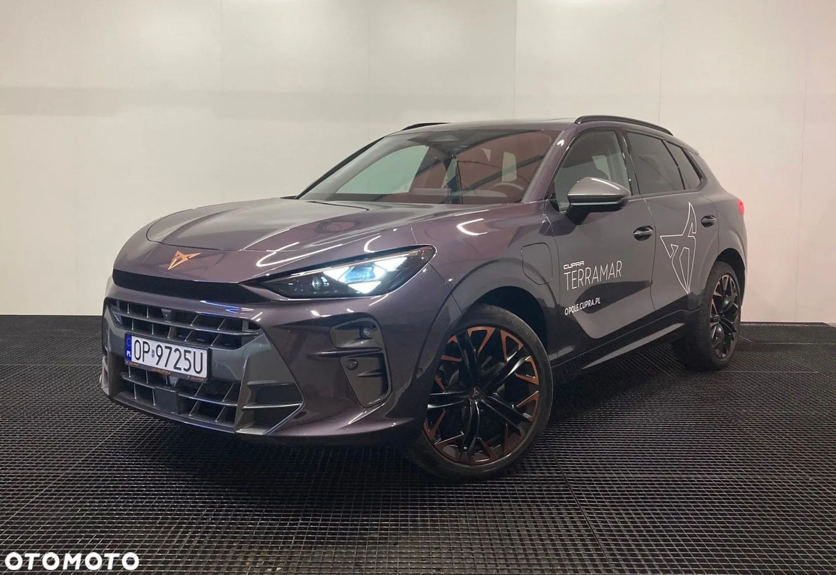 Cupra Terramar - 1
