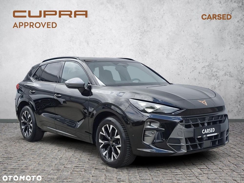 Cupra Terramar - 9