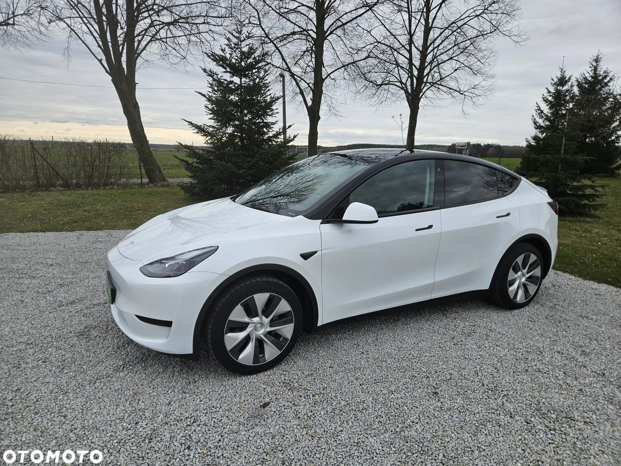 Tesla Y Model RWD - 22