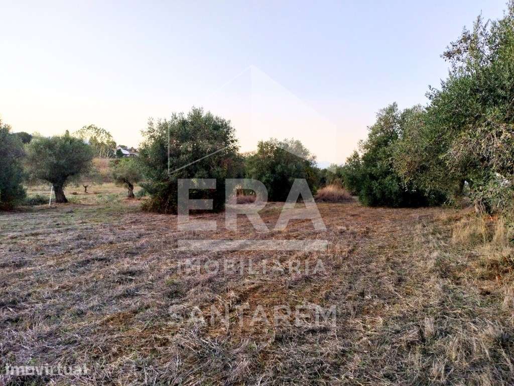 Terreno 4.400m2 e com possibilidade de construção - Grande imagem: 3/7