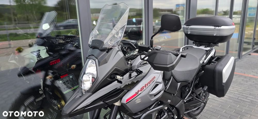Suzuki DL - 31
