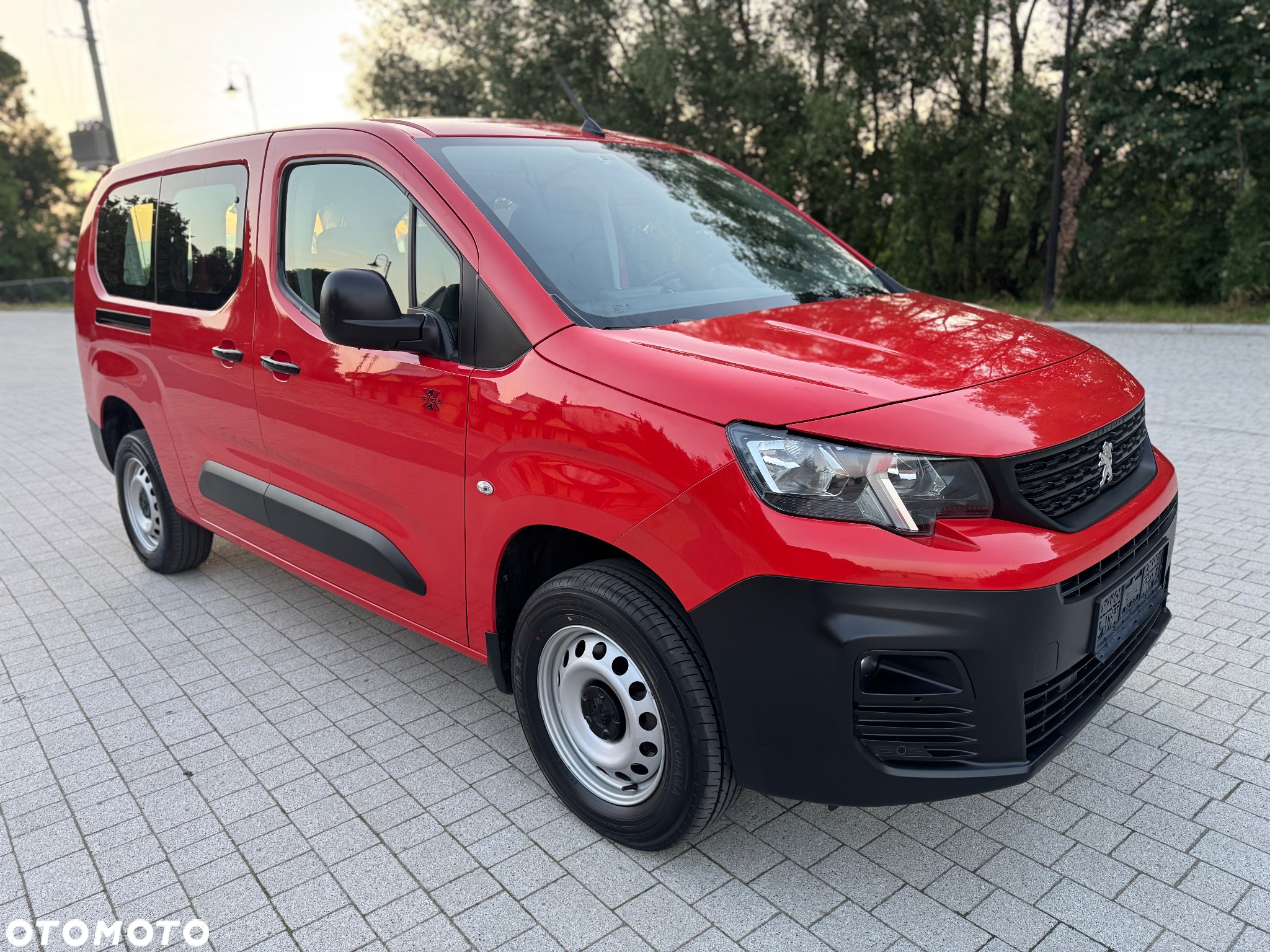 Peugeot Partner 4x4 Dangel - 3